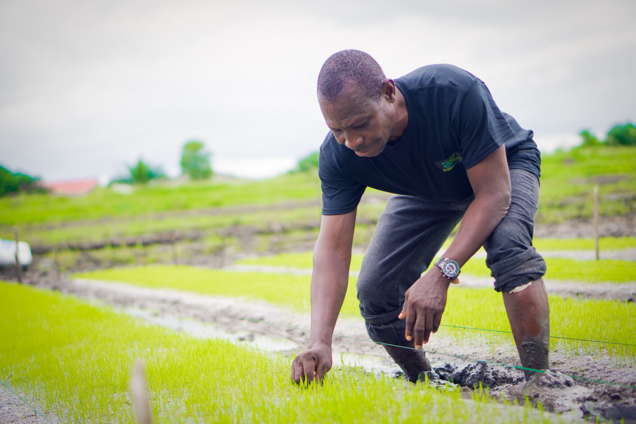 AgroKings Farm Location